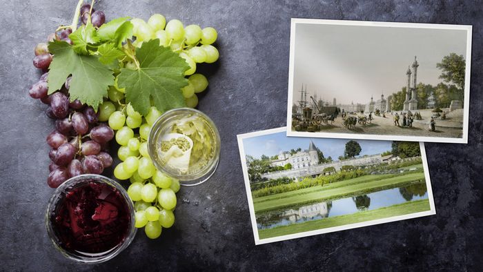 Atelier Vins de Bordeaux