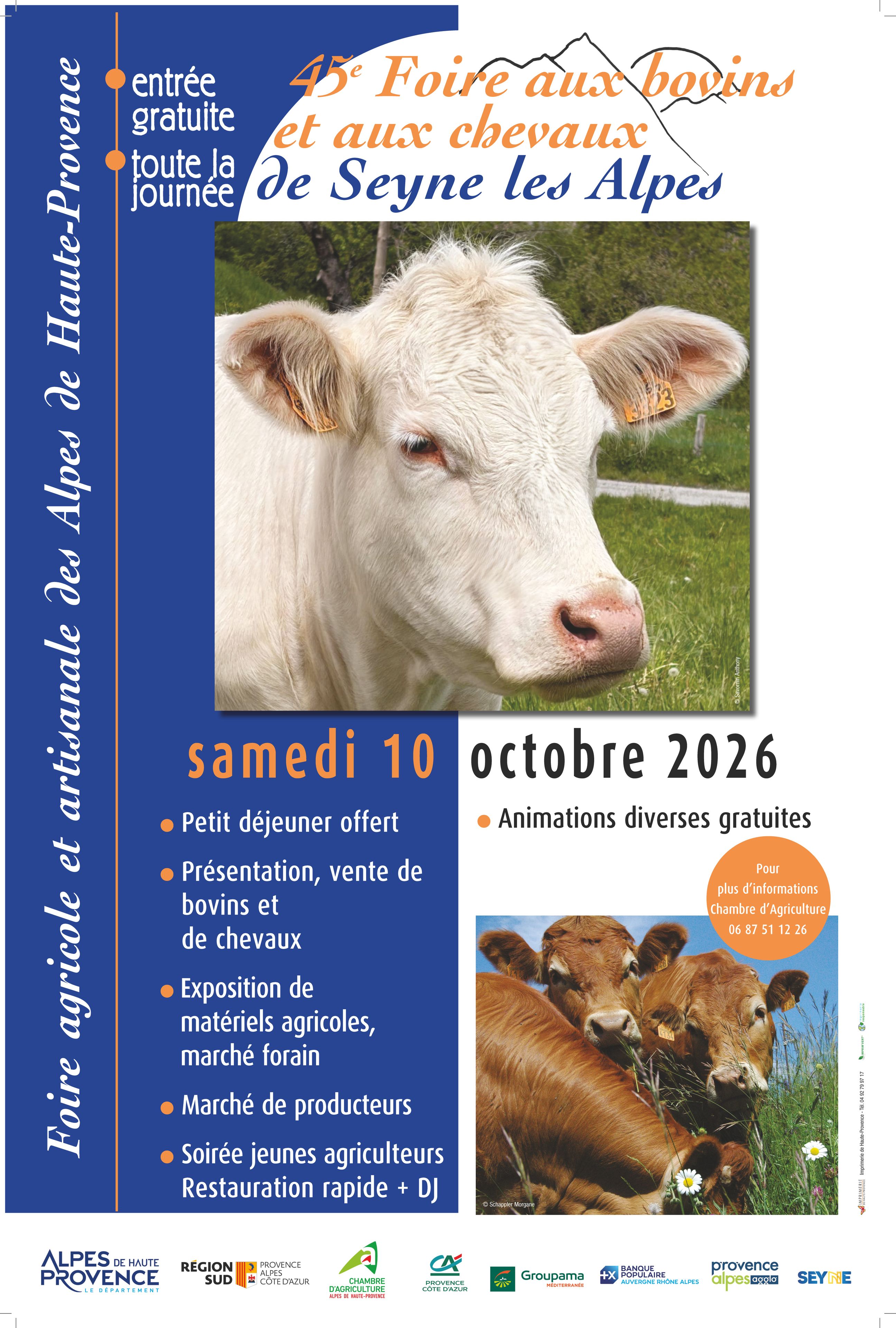 04 - 45e foire aux bovins et aux chevaux de Seyne-les-Alpes