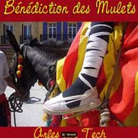 Bénédiction des mulets