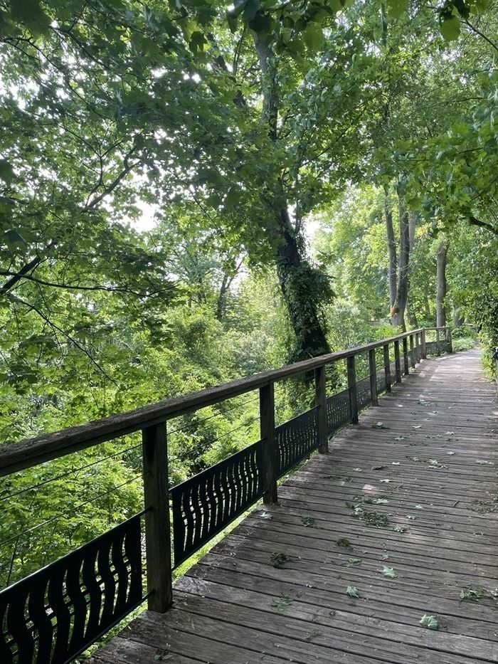 Dans le cadre du Village du Développement Durable de Sèvres, partez à la découverte d’un parc aux multiples facettes : sous-bois, zone boisée, prairie en pleine évolution… 🌳🌾