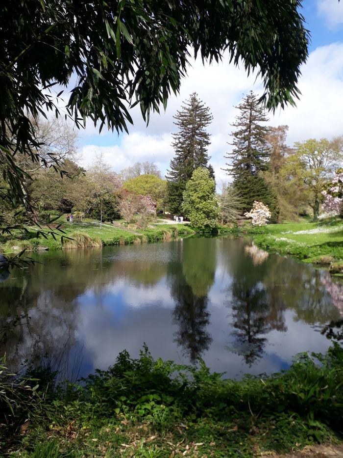 Trésors botaniques du Parc de la Beaujoire
