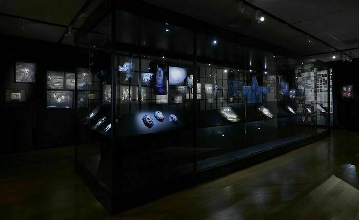 Visite des expositions du Nouveau Printemps