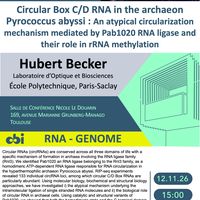 Circular Box C/D RNA in P. abyssi : An atypical circularization mechanism mediated by Pab1020 RNA ligase and their role in rRNA Methylation.