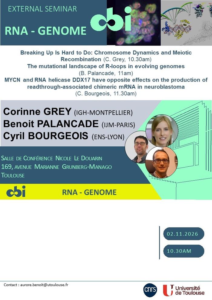Corinne GREY / Benoit PALANCADE / Cyril BOURGEOIS