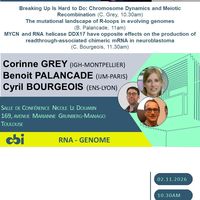Corinne GREY / Benoit PALANCADE / Cyril BOURGEOIS