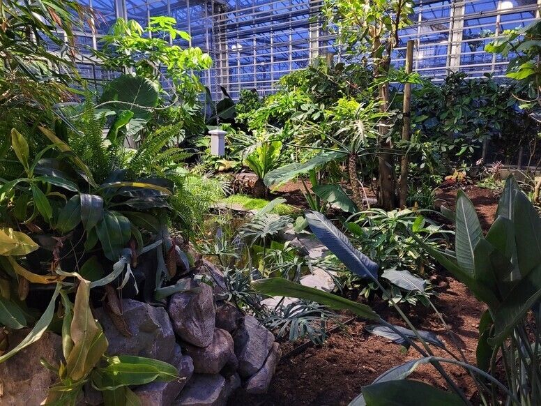 Découverte des serres de collection et des coulisses du Jardin des Plantes