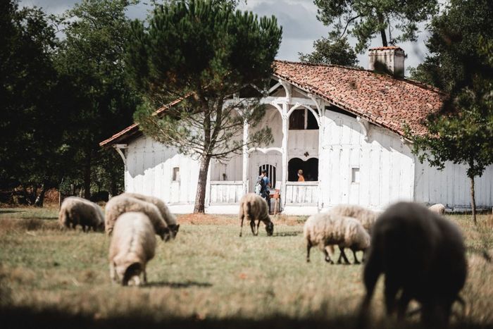 Balabus : en route pour l'Écomusée de Marquèze