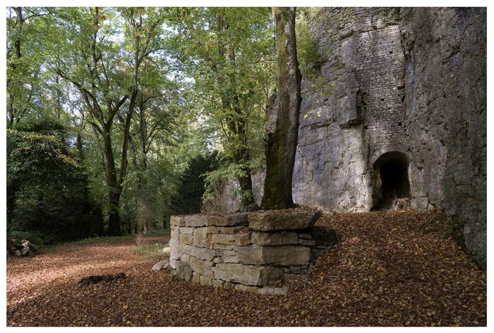 Visite guidée d'un parc remarquable