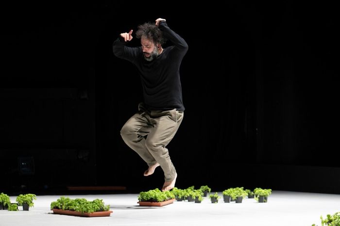 Le chorégraphe libanais Omar Rajeh livre une œuvre profondément intime et politique, à la croisée du récit autobiographique, de la performance et de la danse contemporaine.