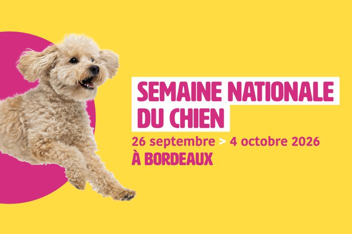 Village "Prendre soin de son chien"