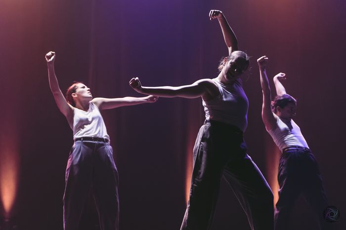 Danse Fest 2027