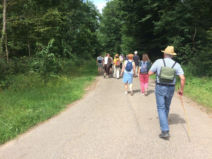 Mercredi à la campagne.