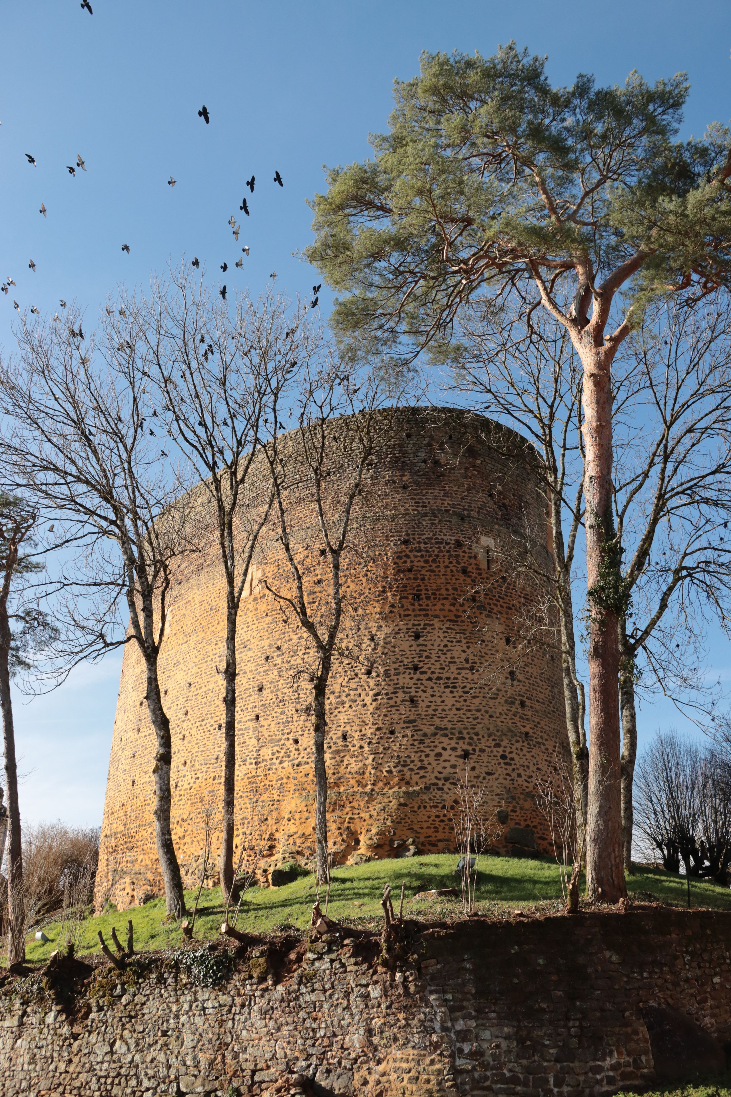 Visite guidée de la Tour Sarrasine