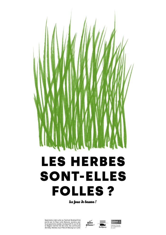 Proposition de spectacle pour le catalogue culturel du Loiret