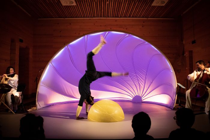 Spectacle de cirque et musique très jeune public : Dans ma coquille