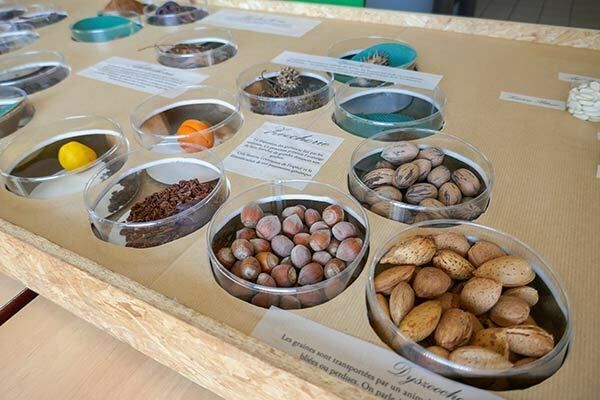 Echanges de graines et de semences