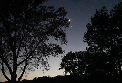 Balade nature nocturne en forêt