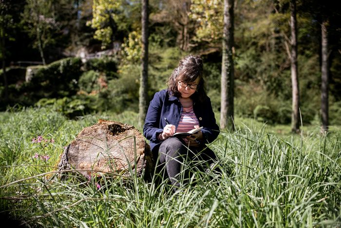 Atelier d'écriture : nature - cut up
