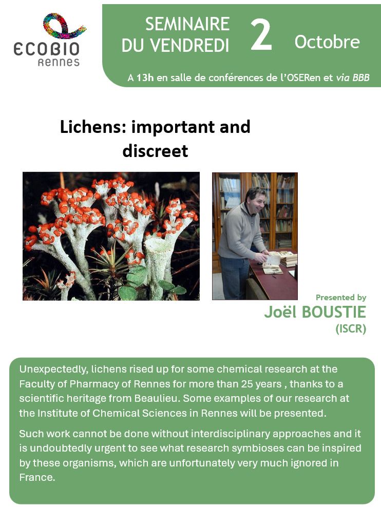 Lichens: important and discreet