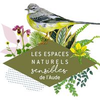 ENS - Voir l'invisible