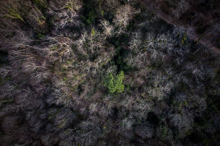 ANNULÉ (en raison de la canicule) // Découverte de la biodiversité au crépuscule du Fil vert