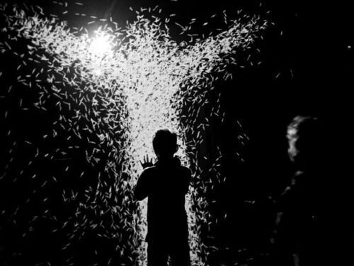 XYZT, les paysages abstraits