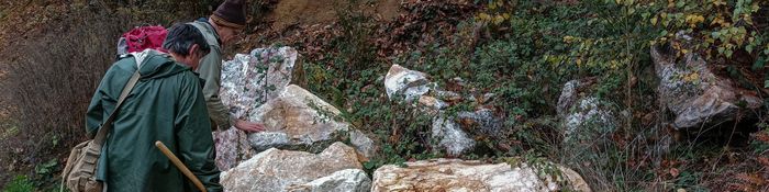 Sortie géologique : Marbre blanc du Morvan - dimanche 2 avril 2023