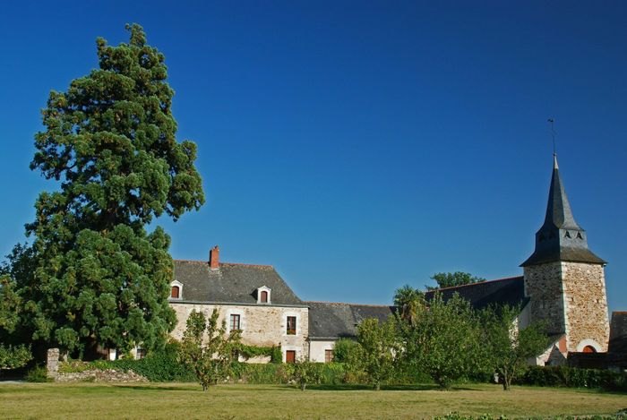 Fête de l'environnement