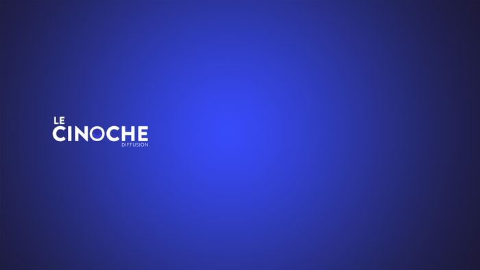 LE CINOCHE et le collège Albert Einstein renouvellent leur partenariat pour la création d'un spectacle pluridisciplinaire inédit.