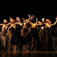Danse - Carmen