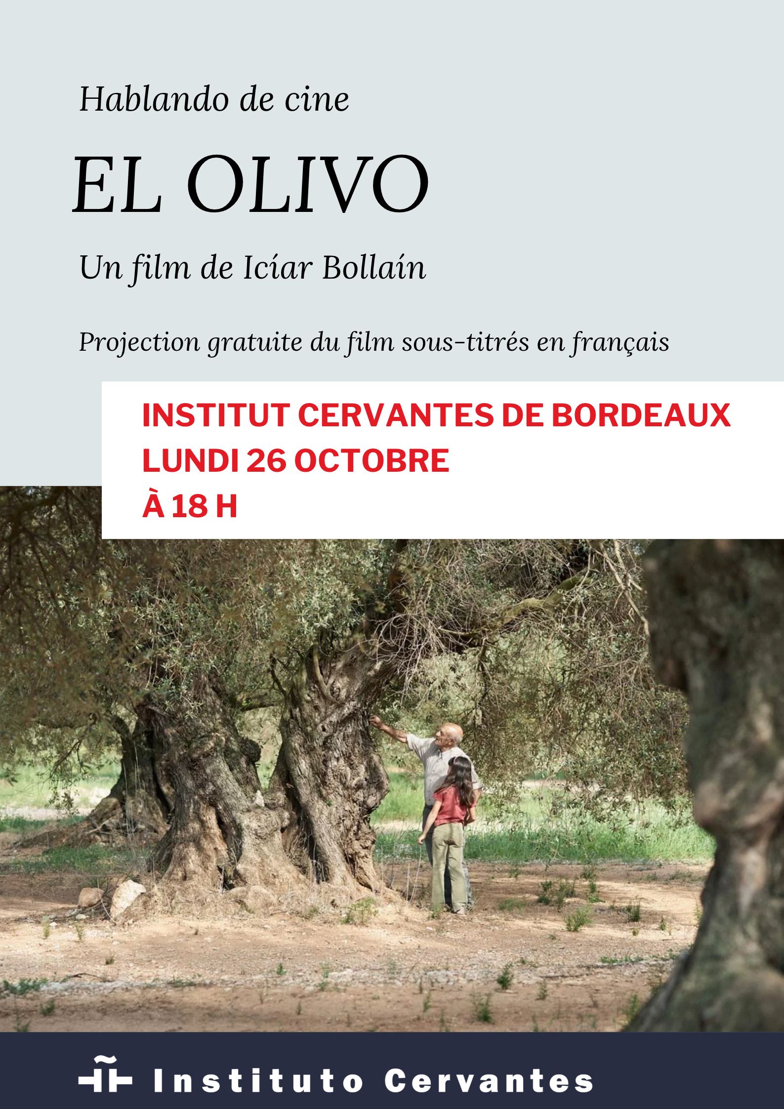 Projection du film « L'olivier »
