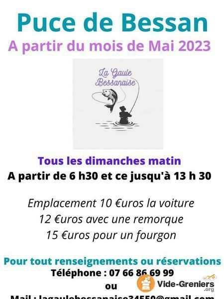 Les puces de Bessan