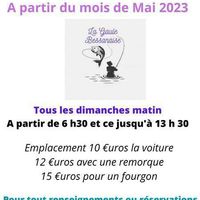 Les puces de Bessan
