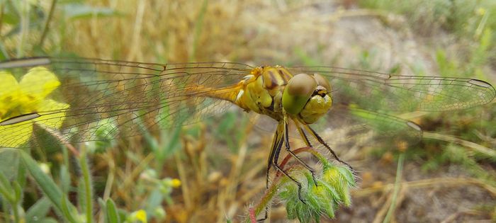 Jardiner au naturel à BOULIAC