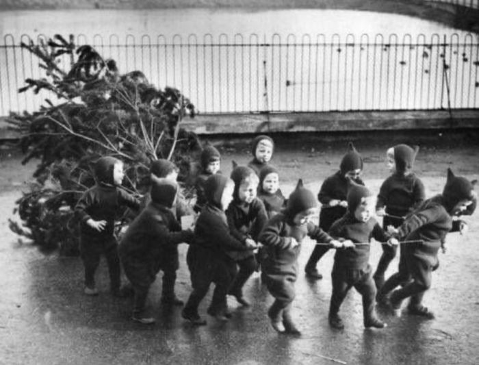Éveil des petits chameaux