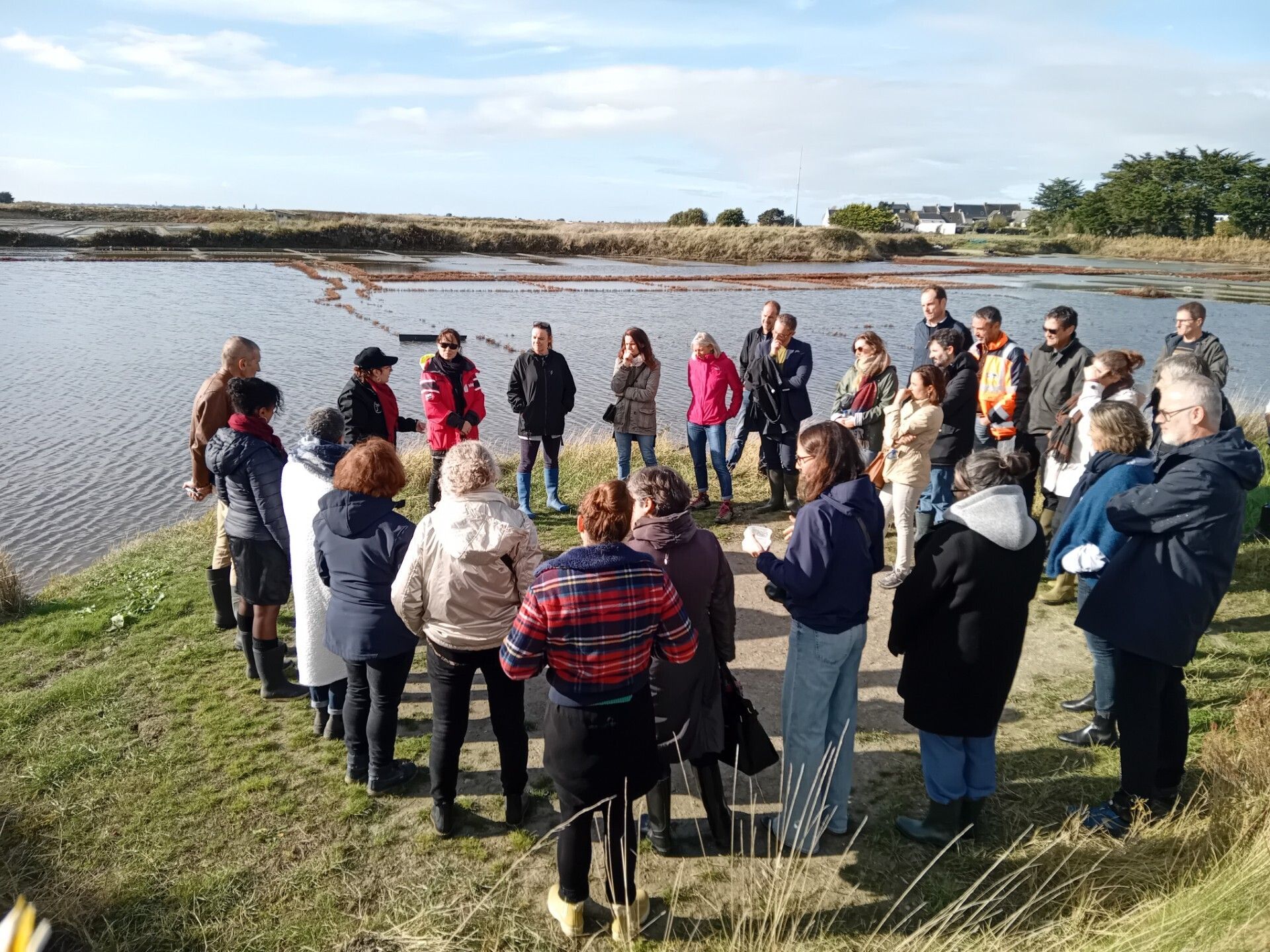 Saillé, du village au marais entre patrimoine et biodiversité