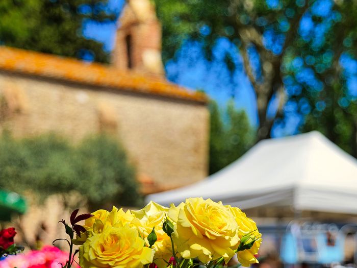 Les Floralies - marché artisanal et floral 17e édition