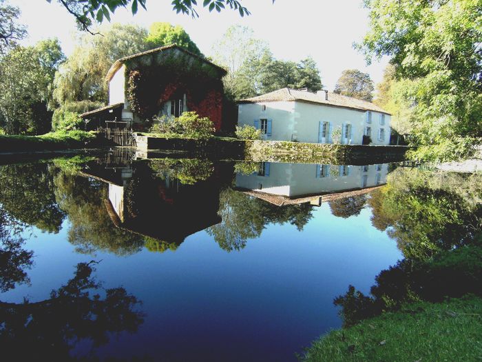 Visite du moulin