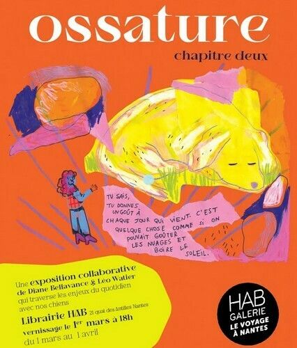 Ossature - Chapitre 2 - Exposition