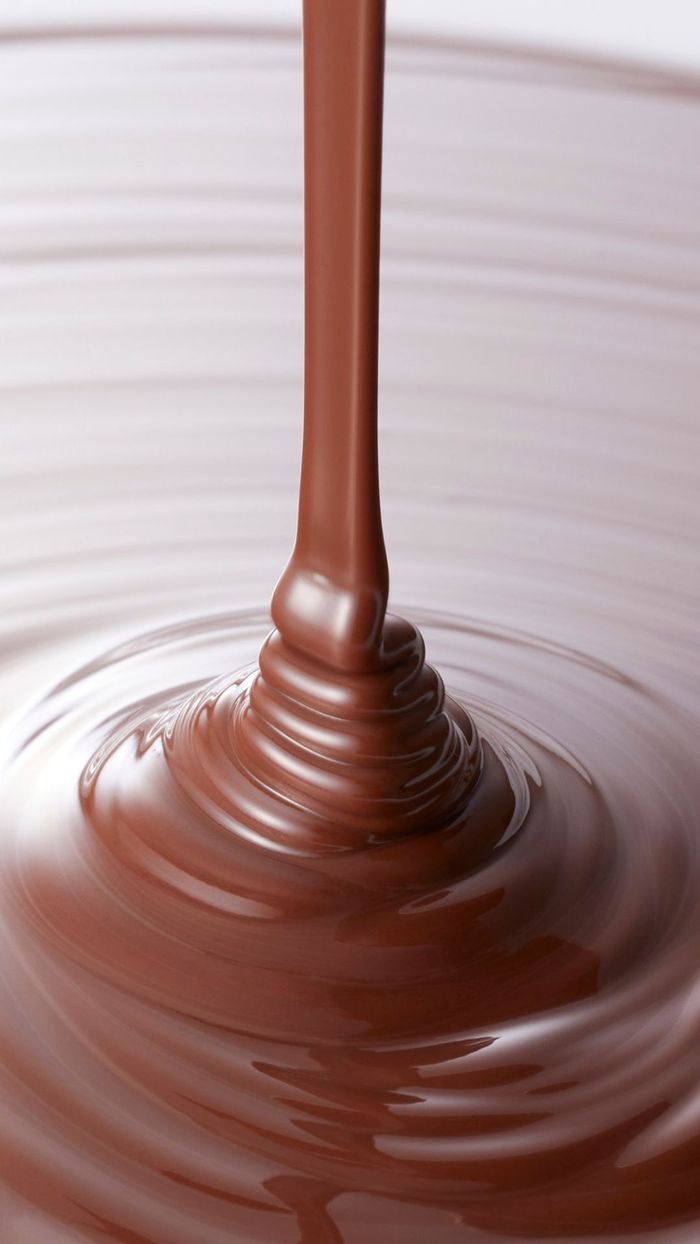 Visite-dégustation - Hector prend les eaux… et savoure le cacao !