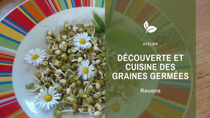 Découverte et Cuisine des Graines Germées