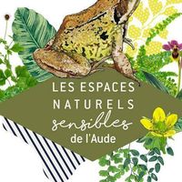 Ens-La lagune de Sigean à la rame