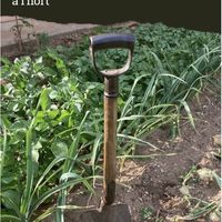 Art i Memòria: "De la trinxera a l'hort", de Clara Oliveras