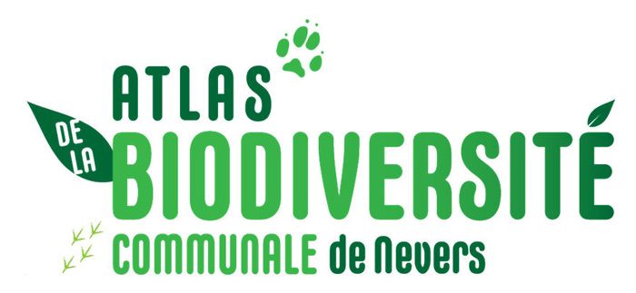 Apprendre à identifier les oiseaux locaux