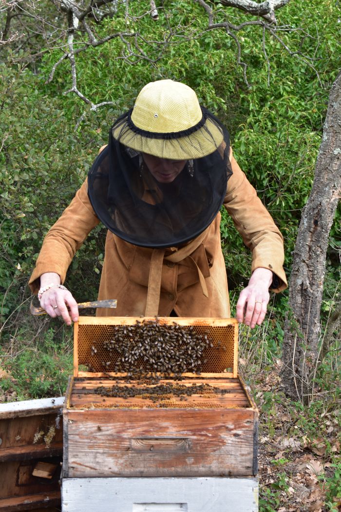 Les trésors de la ruche