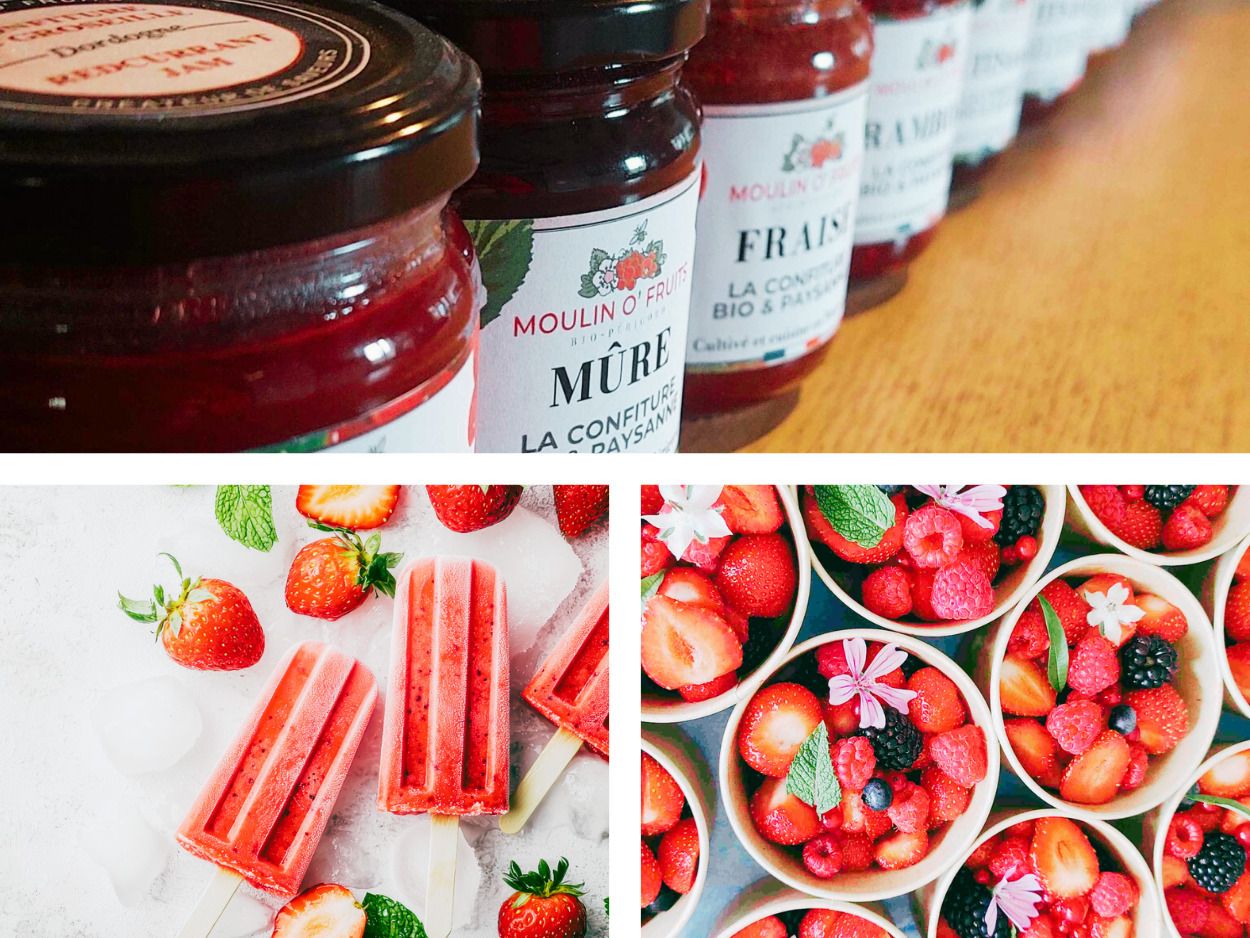 Visite entreprise : Moulin O'fruits Lanquais