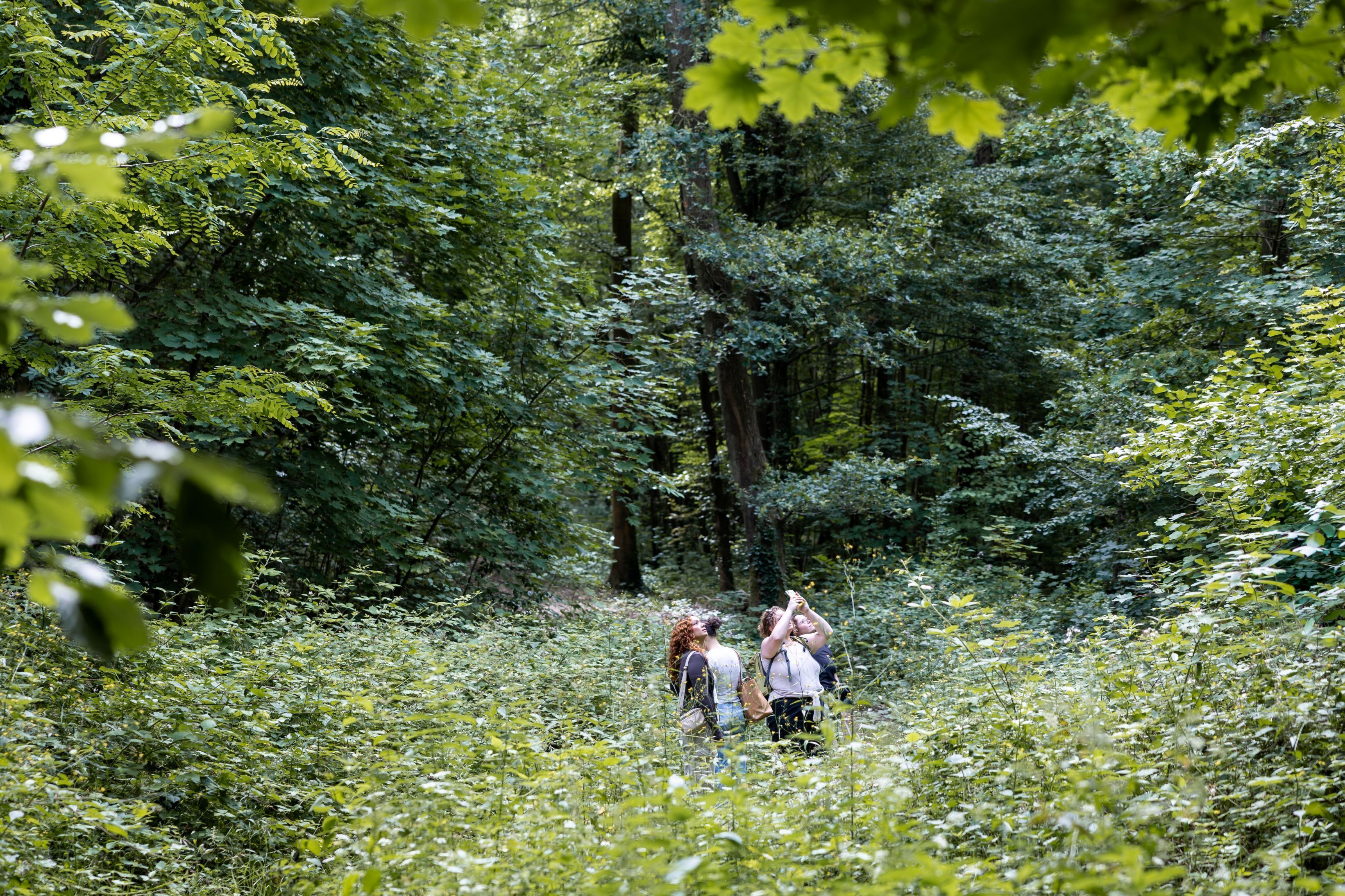 Secrets de la Nature en forêt et au bord de la Bièvre  (randonnée avec un guide Nature)