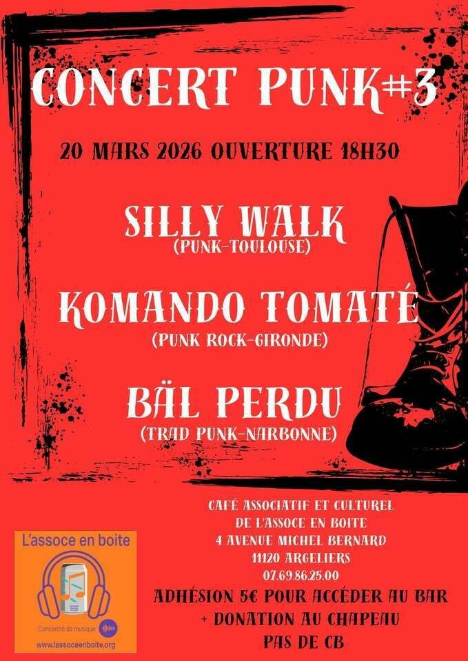 Concert Punk