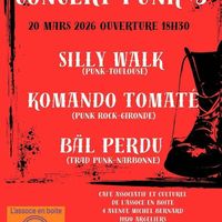Concert Punk