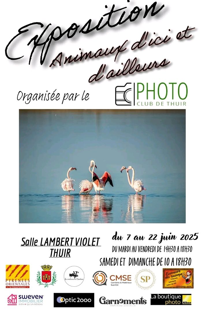 Exposition du photoclub - Animaux d'ici et d'ailleurs